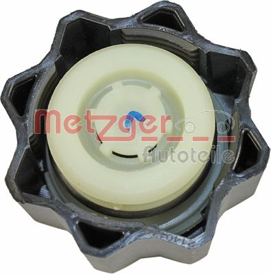 Buson vas expansiune METZGER 2140146